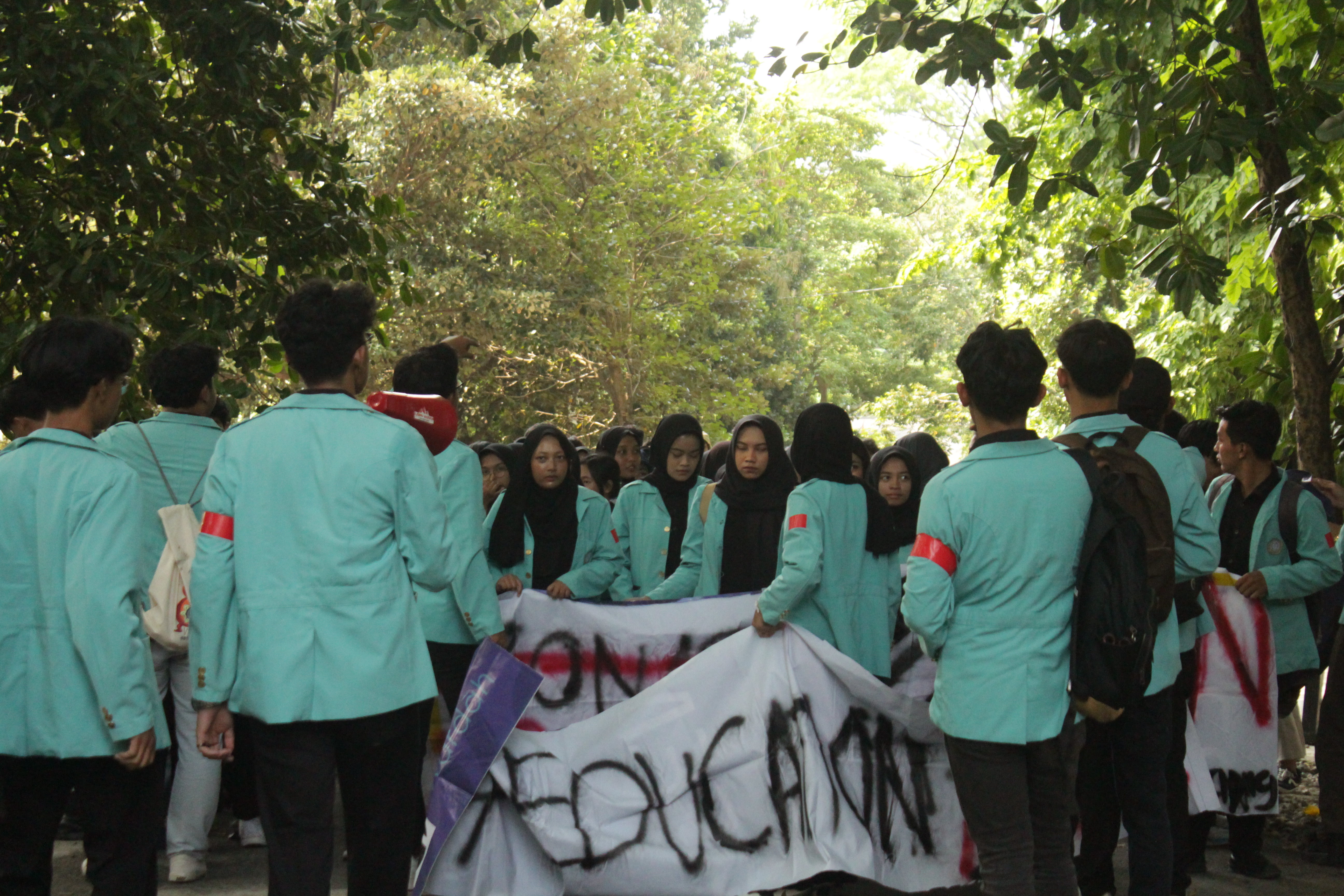 Gallery photo 7